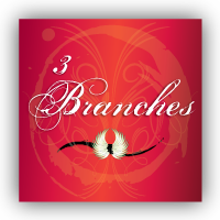 3 Branches